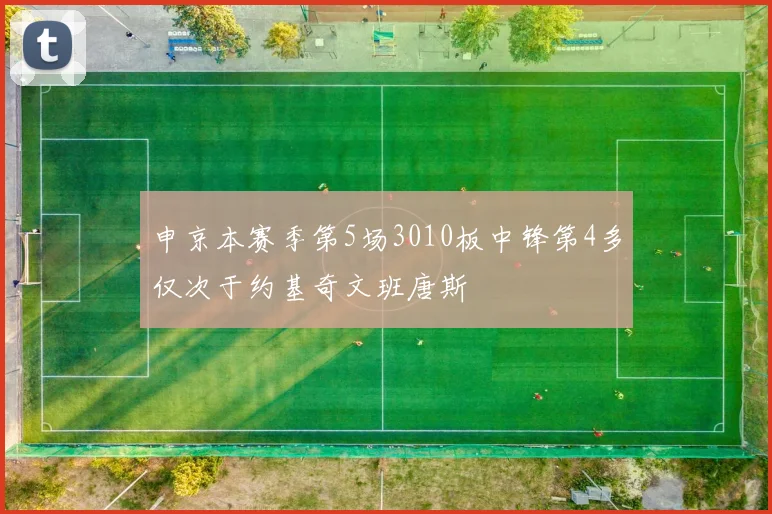 申京本赛季第5场3010板中锋第4多仅次于约基奇文班唐斯