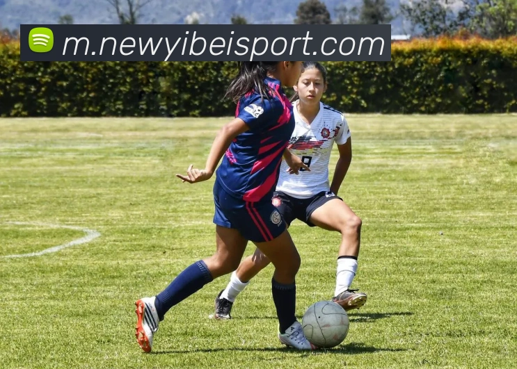 鲍威尔自信满满表示希望入选全明星赛并认为自己配得上这一荣誉